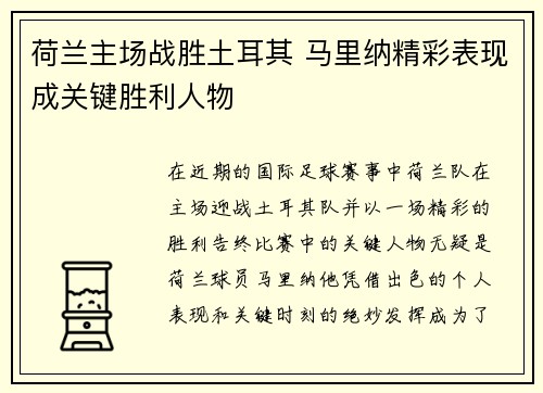 荷兰主场战胜土耳其 马里纳精彩表现成关键胜利人物