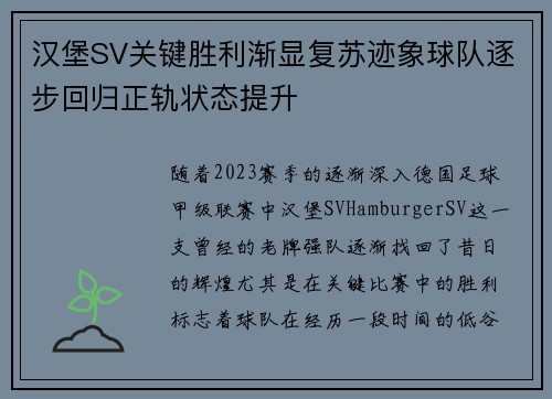 汉堡SV关键胜利渐显复苏迹象球队逐步回归正轨状态提升
